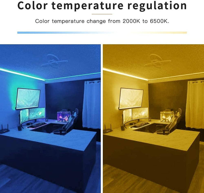 RGB+CCT LED Controller - Camper and Marine Ltd